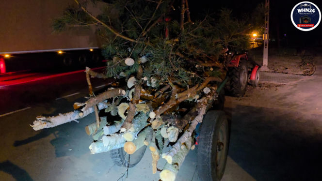 Koszmar na DK 50. 11-latka nie żyje. W auto wbiło się drzewo z ciągnika