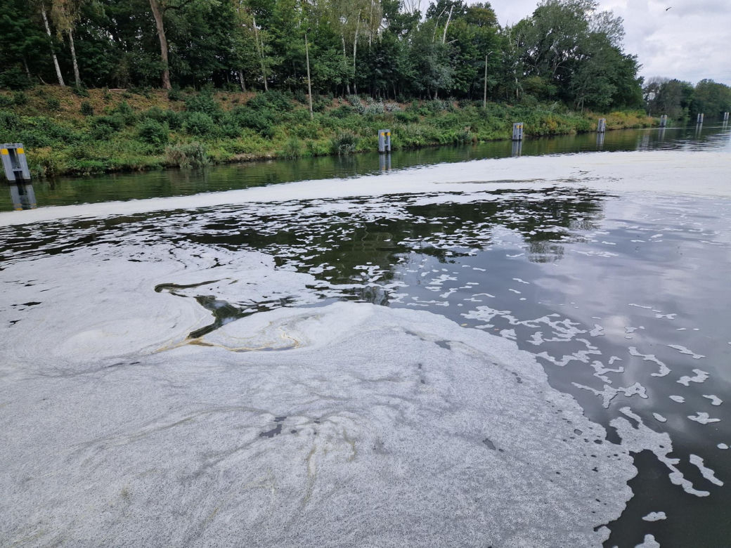 Złota alga zaatakowała Kanał Gliwicki we wrześniu 2025 roku