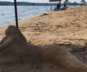 Szukamy imienia dla Syrenki, która pojawiła się na plaży w Brodach