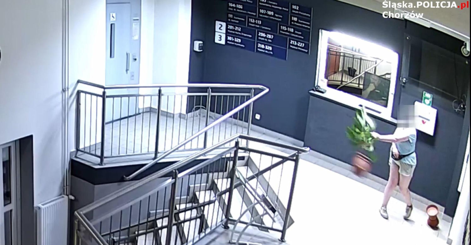 Chorzów: Kobieta przyszła na komendę policji zapytała o straż miejską i wpadła w szał