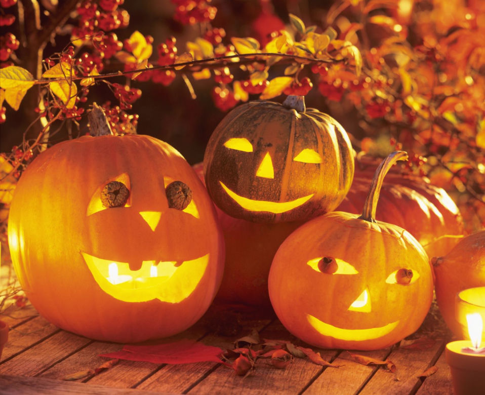 Dynia na Halloween - wzory
