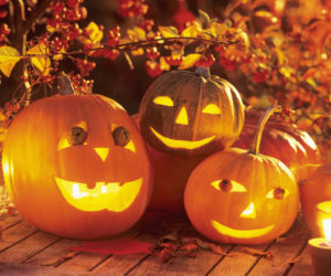 Dynia na Halloween - wzory