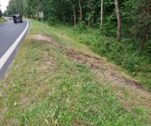 Jamnica. To tu zginęli rodzice trójki dzieci. Makabryczny wypadek pod Stalową Wolą