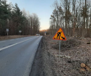 Bydgoszcz: Rozpoczyna się budowa drogi rowerowej przy DW 244