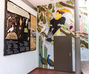 Zabytkowa ptaszarnia we wrocławskim zoo już otwarta