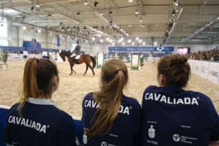Ostatni dzień najlepszego jeździectwa w Lublinie. Cavaliada 2016 [WIDEO, AUDIO]