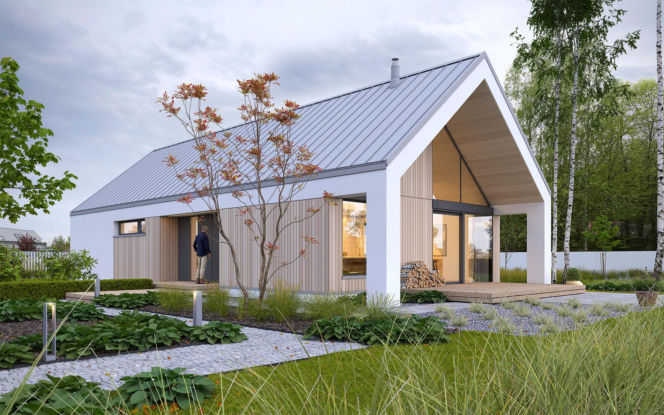 Projekt domu DW118 Beztroski 2, Domy z wizją