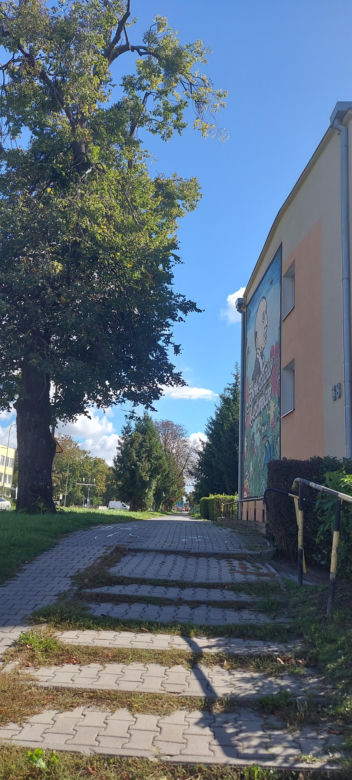 ul. Peowiaków w Zamościu