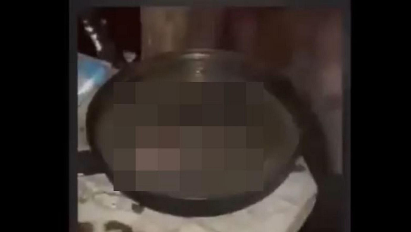 Lubelskie. Nastolatkowie złapali ptaka i ugotowali go żywcem. W sprawę zamieszanych jest 9 osób