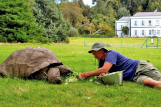 Najstarszy żółw świata nie żyje! Jonatan miał 193 lata