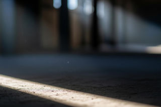 Zwłoki mężczyzn w pustostanie. Co ujawnią śledczy?