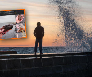 Morze wyrzuciło coś, czego nikt się nie spodziewał. Plażowicz przecierał oczy ze zdumienia