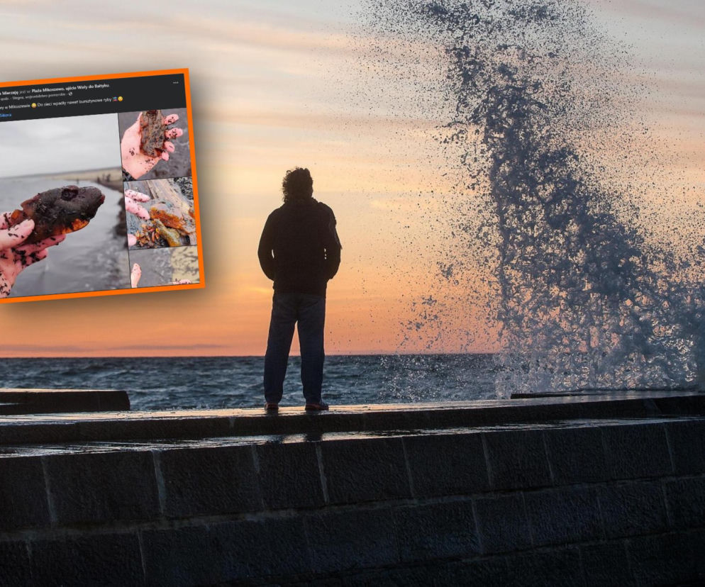 Morze wyrzuciło coś, czego nikt się nie spodziewał. Plażowicz przecierał oczy ze zdumienia