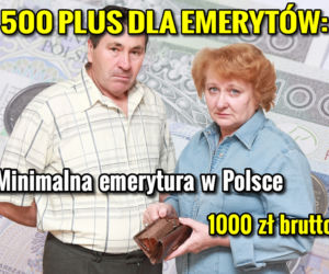 500PLUS DLA EMERYTOW_1