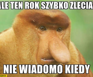 Memy na zakończnie roku szkolnego. Z tego śmieją się uczniowie [ZDJĘCIA]