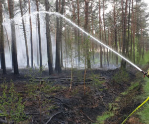 Podpalacz grasuje pod Pleszewem?! Ktoś chyba świetnie się bawi