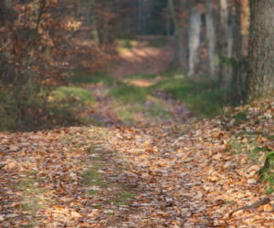 Zdjęcie 5885