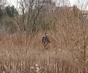 Porwanie w Białymstoku na osiedlu Dziesięciny. Porywacze wciągnęli do samochodu matkę z 3-letnim dzieckiem