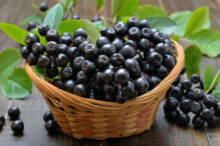ARONIA: na co jest dobra? WŁAŚCIWOŚCI ARONII 