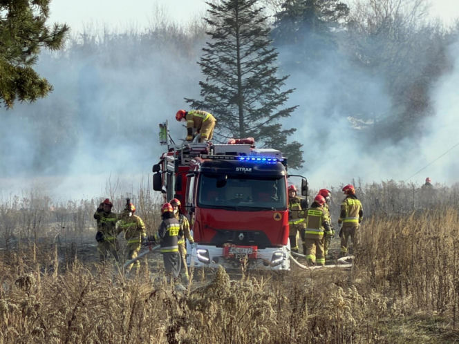 Mazowsze płonie, zaczęło się wypalanie traw