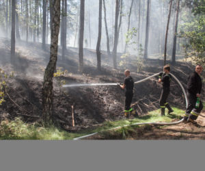 POŻAR ŚCIÓŁKI W PALMIRACH.
