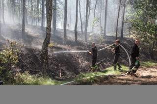 POŻAR ŚCIÓŁKI W PALMIRACH.