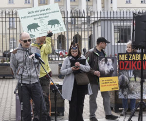 Warszawa. Protest w obronie dzików