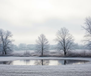 Grudziądz zamarza 20.11.2025. Czy atak zimy zwiastuje opady śniegu?