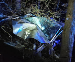Piła: Zakrwawiony 15-latek wyszedł z lasu. W nocy pijany ukradł auto i roztrzaskał je na drzewie [ZDJĘCIA]
