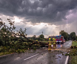 Burze nad Śląskiem powaliły drzewa i zerwały prąd. Strażacy interweniowali 160 razy