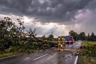 Burze nad Śląskiem powaliły drzewa i zerwały prąd. Strażacy interweniowali 160 razy