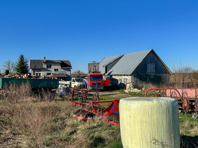 Horror koło Ostródy. Zwierzęta konały bez światła, wody i jedzenia