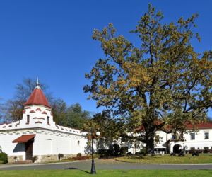 Dubiecko to najmniejsze miasto w woj. podkarpackiego