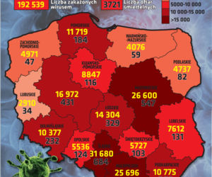 Koronawirus w Polsce. Statystyki, wykresy, grafiki (20 października)