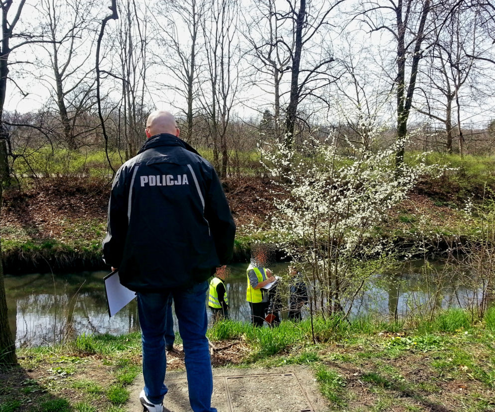 Tajemnicze zwłoki w walizce