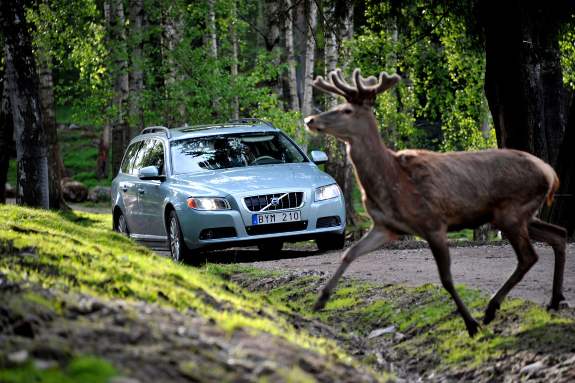 Volvo - 2.4 R5