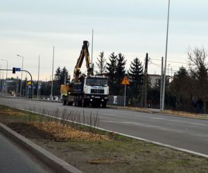 Rozbudowa ul. Grunwaldzkiej. Będą nowe drzewa i krzewy