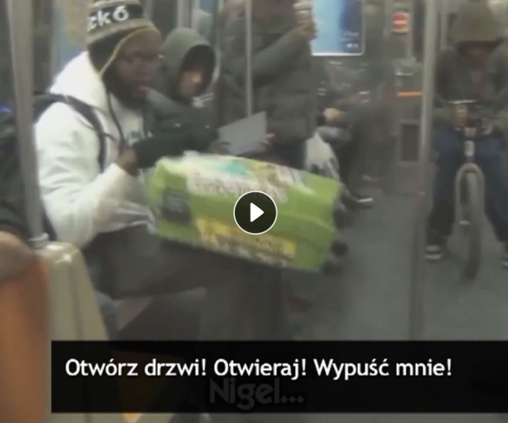 Brzuchomówca