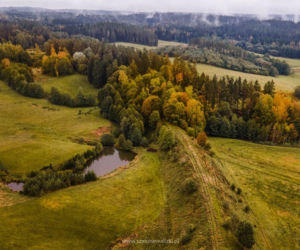 Szalone Walizki: Mazury Garbate