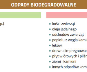 Segregacja śmieci
