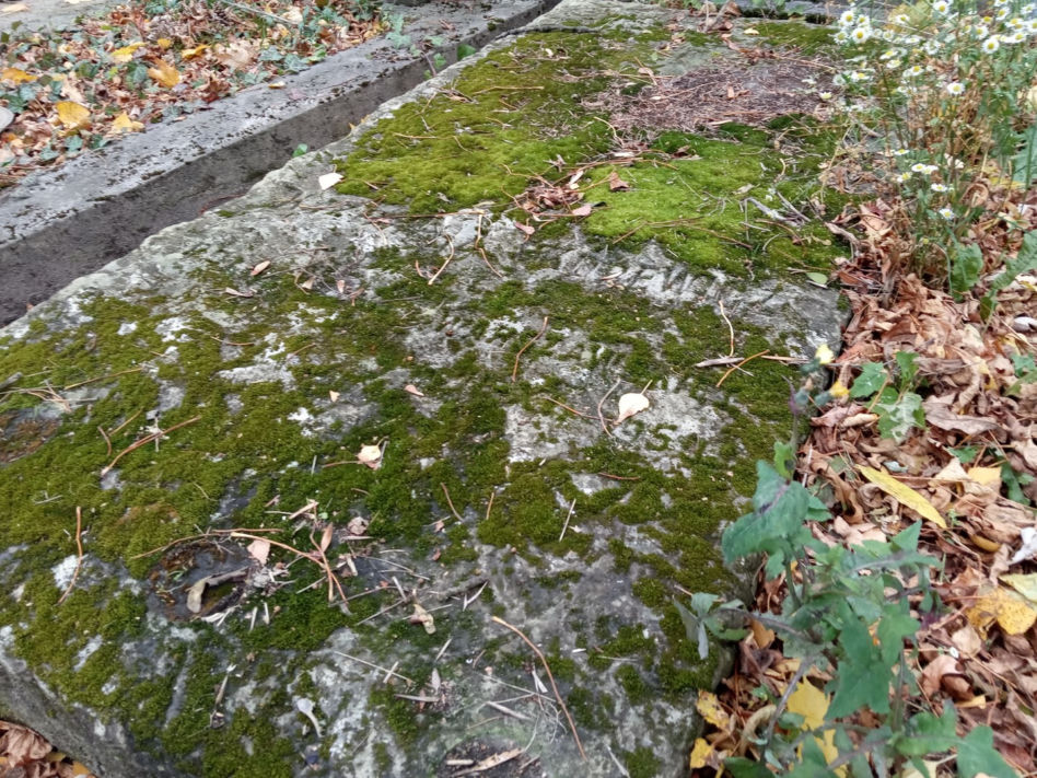 Powązki – archispacer po cmentarzu Powązkowskim w Warszawie