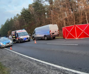Nie zatrzymała się na STOPIE! 68-latka nie miała szans w starciu z busem