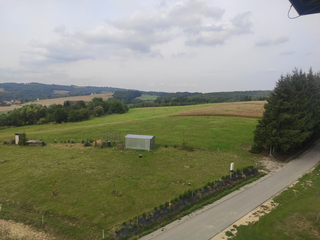 Różanka. Wieża widokowa i zabytkowy wiatrak [GALERIA]  