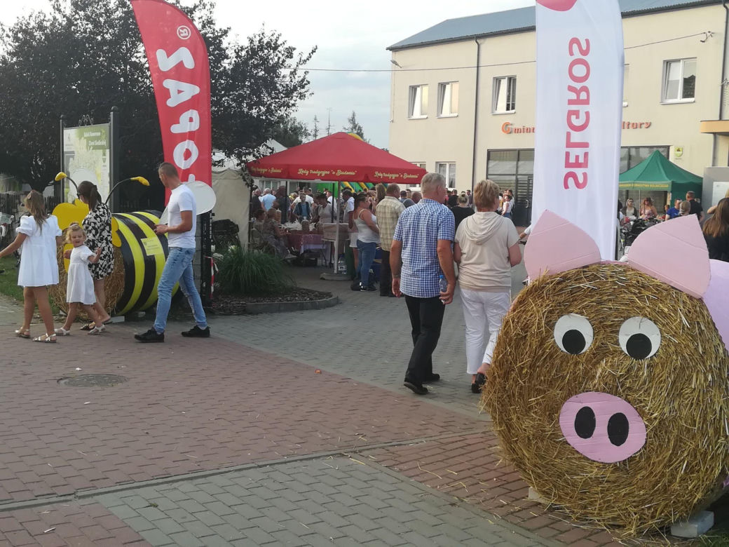 Gmina Siedlce, koncerty na dożynkach w Strzale – zdjęcia 