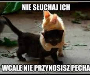Memy na PIĄTEK trzynastego! Zobacz najśmieszniejsze obrazki w internecie! [GALERIA] 