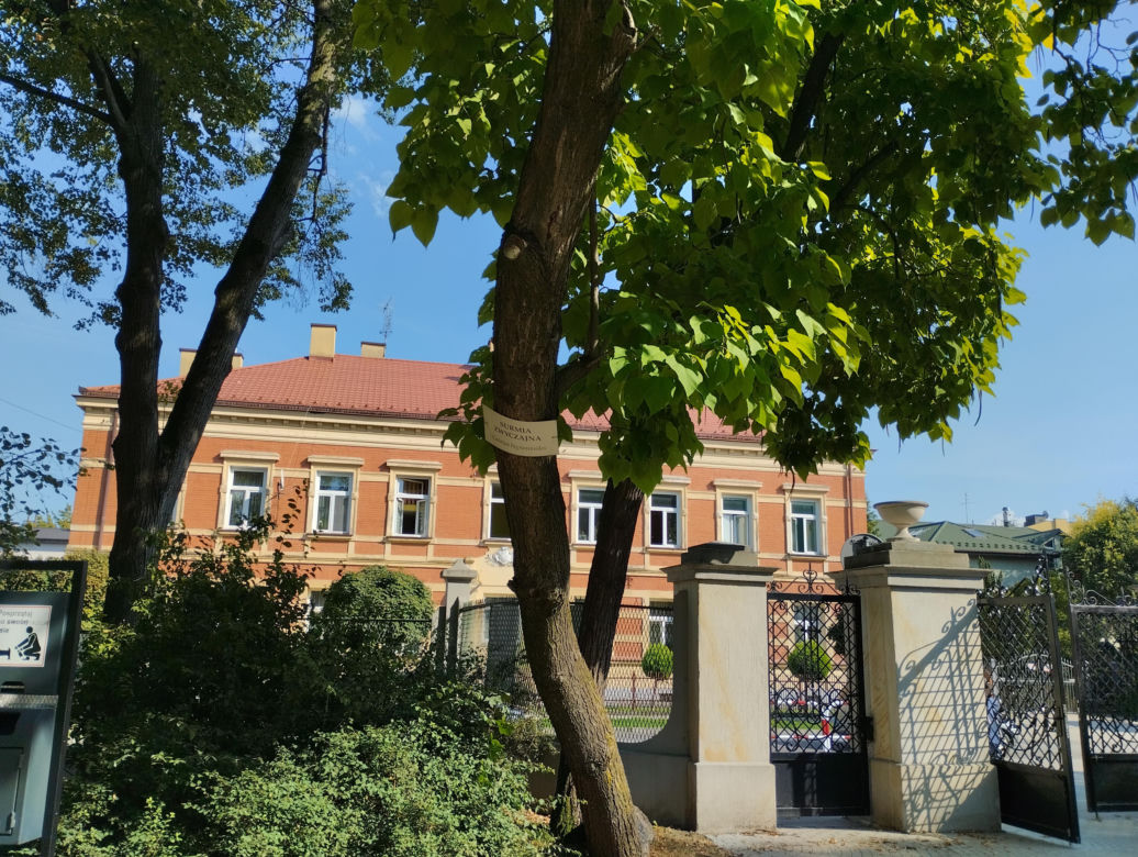 Pomniki przyrody w Parku Strzeleckim w Tarnowie