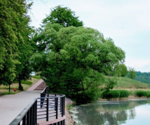 Suchedniów