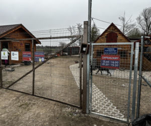 Zabrali dzieciom psa jak rzecz