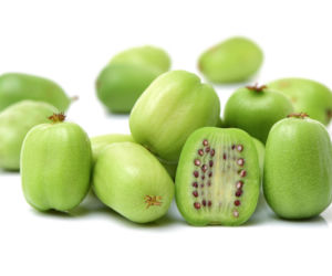 Mini kiwi