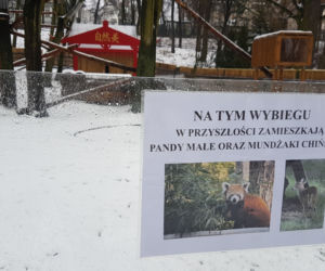 ZOO Toruń zaprasza!